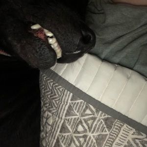 Meet your Posher, Sara